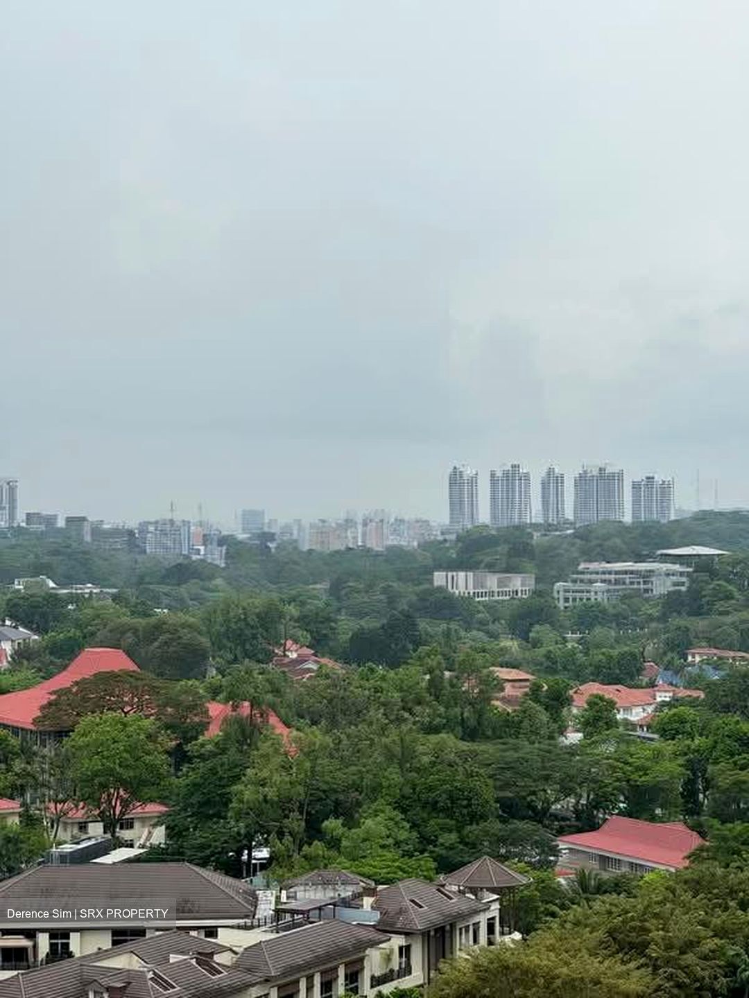 Regency Park (D10), Condominium #544537501